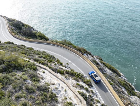 countryman-ele-foto-1